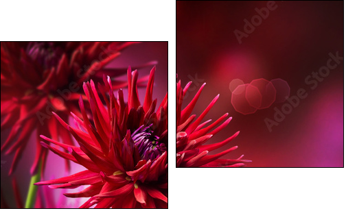Dahlia Autumn flower design - Zweiteiliges Leinwandbild, Diptychon
