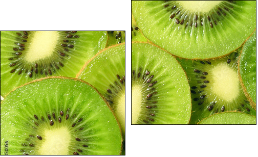 kiwi fruit - Zweiteiliges Leinwandbild, Diptychon