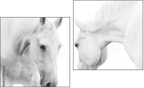 white horses - Zweiteiliges Leinwandbild, Diptychon