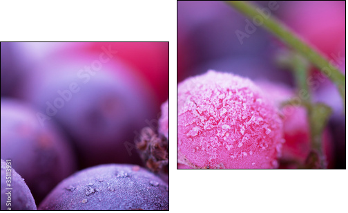 Frozen berries - Zweiteiliges Leinwandbild, Diptychon