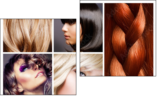 Hair Collage. Hairstyles - Zweiteiliges Leinwandbild, Diptychon