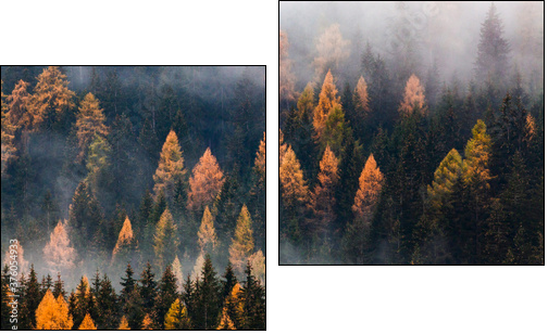 autumn nature background forest in fog - Zweiteiliges Leinwandbild, Diptychon