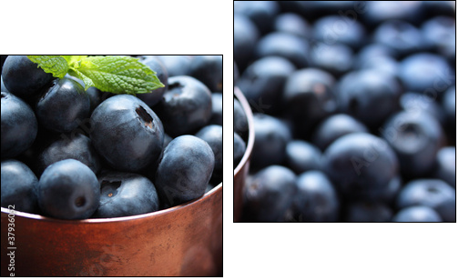 Blueberries - Zweiteiliges Leinwandbild, Diptychon