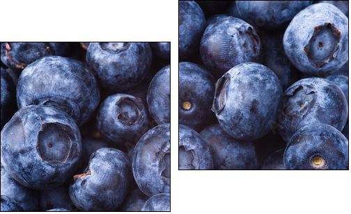 many blueberries - Zweiteiliges Leinwandbild, Diptychon