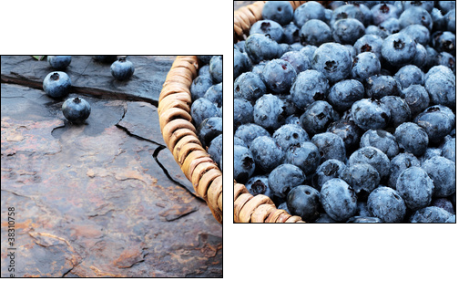 Fresh Blueberries - Zweiteiliges Leinwandbild, Diptychon