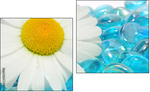 Daisy Flowers on Blue Glass Stones - Zweiteiliges Leinwandbild, Diptychon
