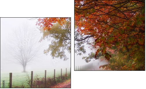 misty autumn morning - Zweiteiliges Leinwandbild, Diptychon