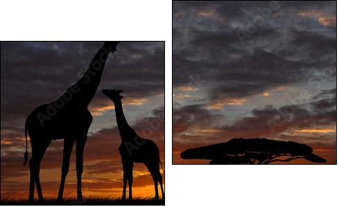giraffes in the sunset - Zweiteiliges Leinwandbild, Diptychon