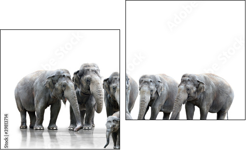 Elefantenherde - Zweiteiliges Leinwandbild, Diptychon