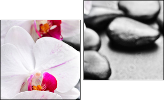 orchid - Zweiteiliges Leinwandbild, Diptychon