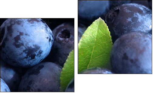 Macro shot of wet fresh blueberry - Zweiteiliges Leinwandbild, Diptychon