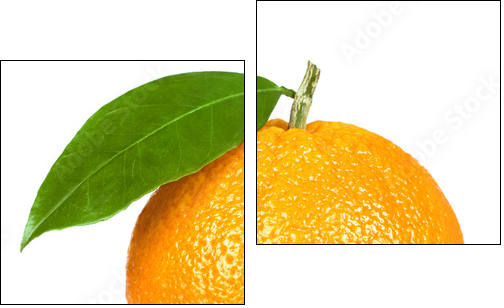 Ripe orange isolated on white background - Zweiteiliges Leinwandbild, Diptychon