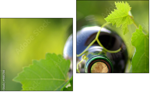 Bottle of wine between grapevine leves. - Zweiteiliges Leinwandbild, Diptychon