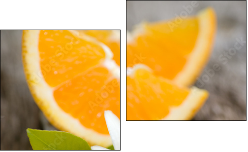 OrangenblÃ¼te - Zweiteiliges Leinwandbild, Diptychon