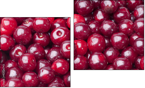 Cherry - Zweiteiliges Leinwandbild, Diptychon