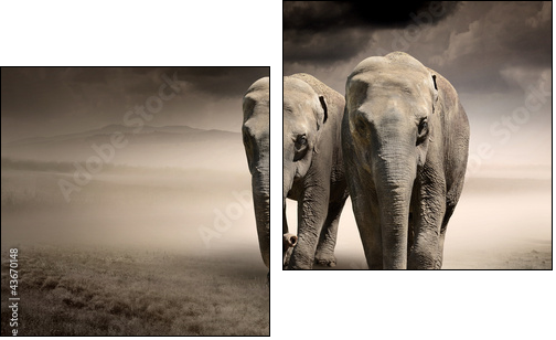 Pair of elephants in motion - Zweiteiliges Leinwandbild, Diptychon
