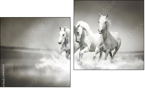 Herd of white horses running through water - Zweiteiliges Leinwandbild, Diptychon