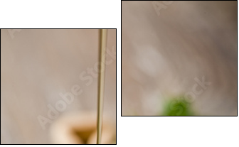 wild honey - Zweiteiliges Leinwandbild, Diptychon
