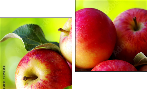 ripe red apples on table - Zweiteiliges Leinwandbild, Diptychon