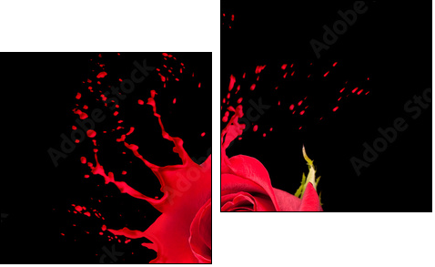 red rose splashes - Zweiteiliges Leinwandbild, Diptychon