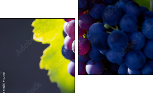 glowing dark wine grapes - Zweiteiliges Leinwandbild, Diptychon