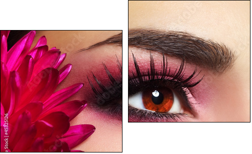 Beautiful Eye Makeup with Aster Flower - Zweiteiliges Leinwandbild, Diptychon