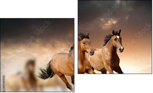 horses in sunset - Zweiteiliges Leinwandbild, Diptychon