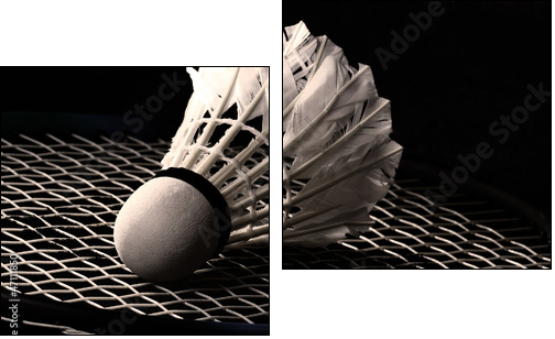Shuttlecock on badminton racket - Zweiteiliges Leinwandbild, Diptychon