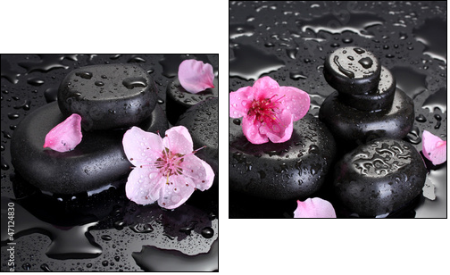 Spa stones with drops and pink sakura flowers - Zweiteiliges Leinwandbild, Diptychon