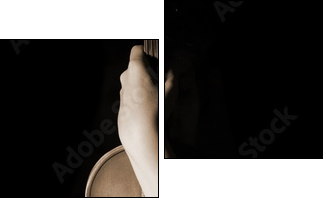 old violin - Zweiteiliges Leinwandbild, Diptychon