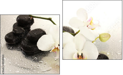 Spa stones and orchid flowers, isolated on white. - Zweiteiliges Leinwandbild, Diptychon