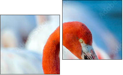 Pink flamingo on the lake - Zweiteiliges Leinwandbild, Diptychon
