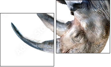 Ã¤h...nur Deko - Zweiteiliges Leinwandbild, Diptychon