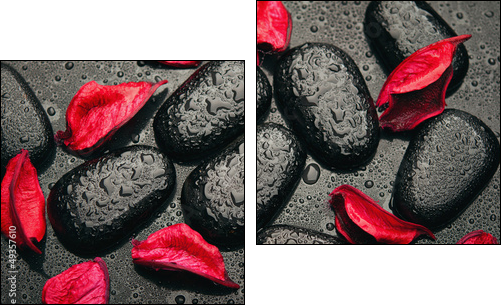 background spa. black stones and red petals with water droplets - Zweiteiliges Leinwandbild, Diptychon
