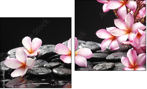 Set of frangipani with zen stones - Zweiteiliges Leinwandbild, Diptychon