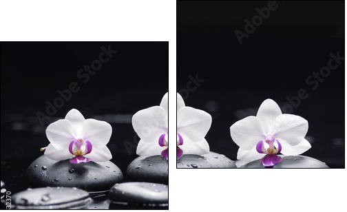 orchid flower and stones in water drops - Zweiteiliges Leinwandbild, Diptychon