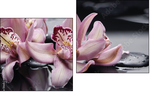 spa concept âgorgeous pink orchid and zen stones - Zweiteiliges Leinwandbild, Diptychon