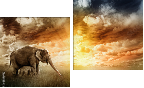 Abendfarben - Zweiteiliges Leinwandbild, Diptychon
