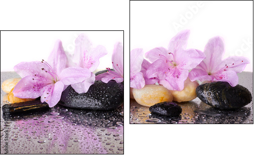 Pink flowers and black stones - Zweiteiliges Leinwandbild, Diptychon