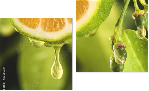 Drop of juice from a sliced lemon - Zweiteiliges Leinwandbild, Diptychon