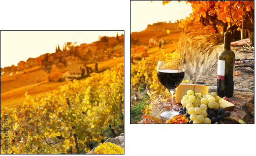 Glass of red wine on the terrace vineyard in Lavaux region, Swit - Zweiteiliges Leinwandbild, Diptychon