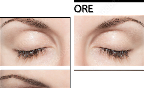 EYE AND FALSE EYELASHES - Zweiteiliges Leinwandbild, Diptychon