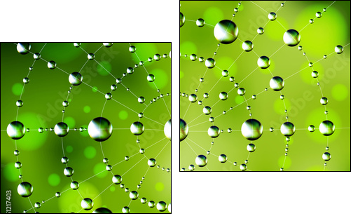 Abstract spider web with dew drops - Zweiteiliges Leinwandbild, Diptychon
