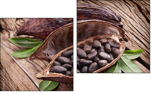 Cocoa pod - Zweiteiliges Leinwandbild, Diptychon