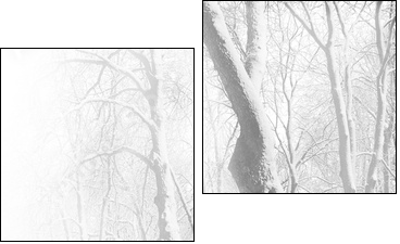Red benches in the fog in winter - Zweiteiliges Leinwandbild, Diptychon