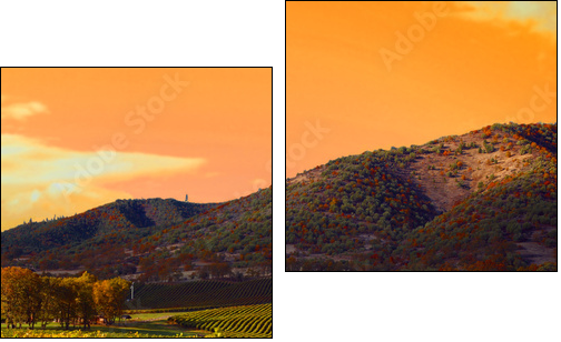 Vineyard Sunset - Zweiteiliges Leinwandbild, Diptychon