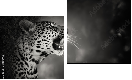 Leopard portrait - Zweiteiliges Leinwandbild, Diptychon