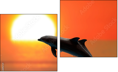 Dolphins at sunset - Zweiteiliges Leinwandbild, Diptychon