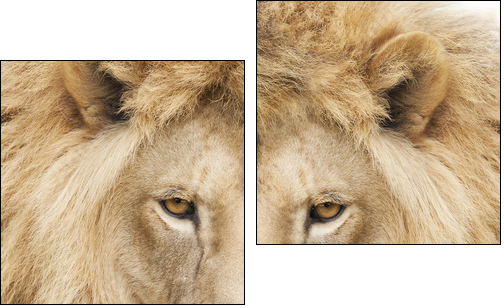 King - Zweiteiliges Leinwandbild, Diptychon
