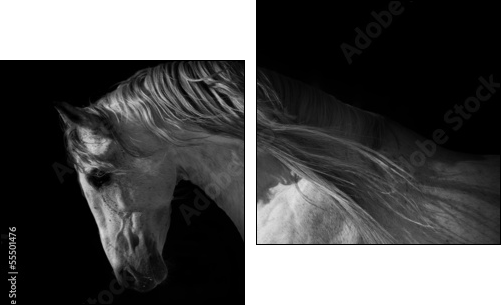 horse portrait on a dark background - Zweiteiliges Leinwandbild, Diptychon